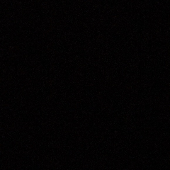 Meet your Posher, Rocco - Picture 1 of 1